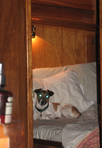 Lilly guarding Ems cabin.