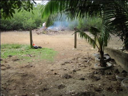 Burn pit down by the
mangrove swamp.