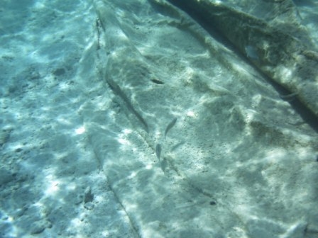 Sail of wrecked boat on the reef.