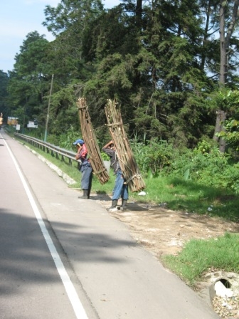 Packing firewood home.