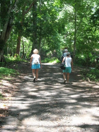 Heading up to falls from
the main road.