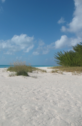 Yet another outstanding beach!