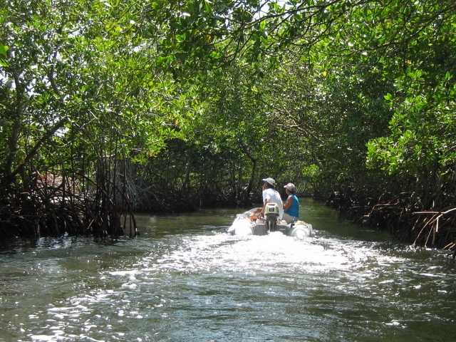 Pat & R2 in Homer transiting 
the Mangrove Tunnel.