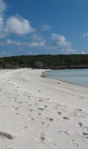 Waderick Wells beach (one of many)