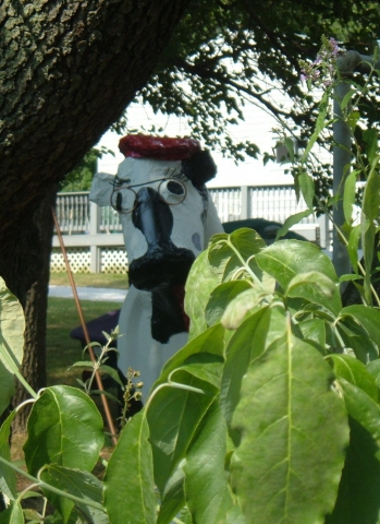 Shes peeking over at the neighbors.