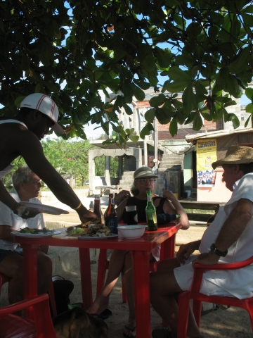 Dining under the almond tree.