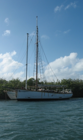 Two classic old wooden boats.