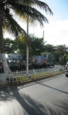 Scooter lineup.