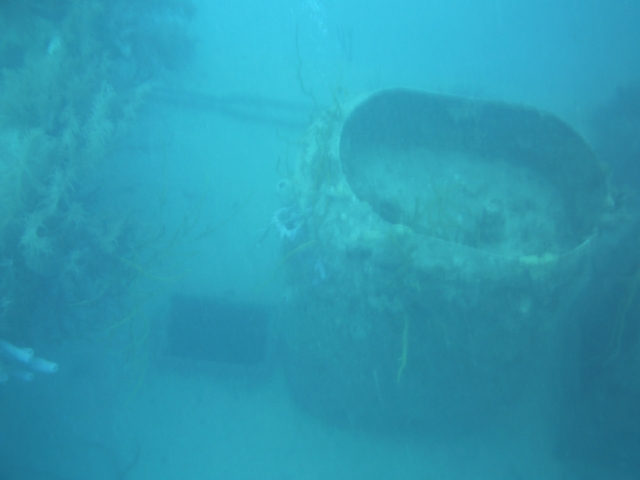 Smoke stack of wreck at French Harbo (about 45 down).